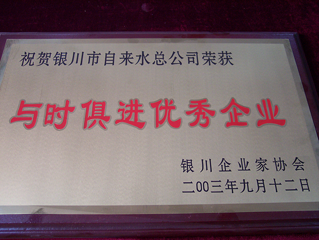 2003年银川企业家协会与时俱进优秀企业